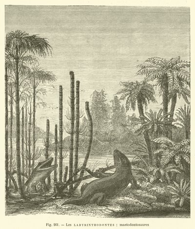 Les labyrinthodontes, mastodontosaures (gravür) by French School