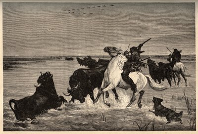 “” PATRIE” deki vayson gravürü - “” PATILE” deki gravür” boyamasından sonra camargue öküzleri (sığır cinsi) - AÇIKLAMA PINTUREQUIRESSE DE LA FRANCE LUCIEN HUARD TARAFINDAN 6 CİLTTE - 19. yüzyıl sonu by French School
