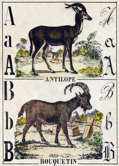 A Harfi Antilop; B dağ keçisi. “Alphabet des animaux sauvages” içinde gravür. 9. Seri. Epinal'in görüntüsü, Pellerin, matbaa-yayıncı, 1870 dolaylarında. Ahşap üzerine gravürler, şablonla. 16 sayfa. Karartma: 20 x 15 cm. Özel koleksiyon by French School