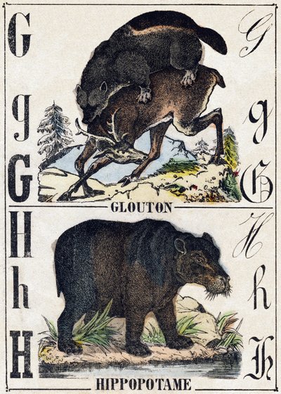 G Harfi Obur; H Hipotamus. “Alphabet des animaux sauvages” içinde gravür. 9. Seri. Epinal