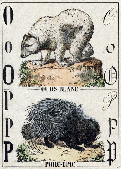 O Harfi Ayı; P Domuz destanı (Domuz destanı). “Alphabet des animaux sauvages”” üzerine gravür. 9. Seri. Epinal
