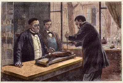 Louis Pasteur (1822-1895), Fransız kimyager ve mikrobiyolog, kuduza çare ararken kloroformlu bir tavşan üzerinde deney yapıyor. by French School