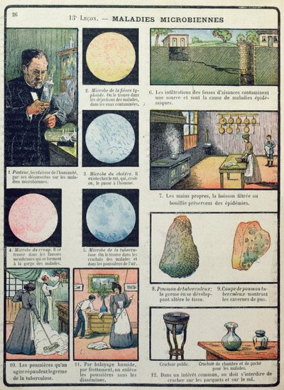 Louis Pasteur (1822-95) ve bakteri hastalıkları, Les Sciences Physiques et Naturelles, Paris, 1908