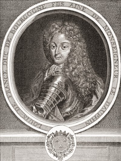 Louis de France, Fransa