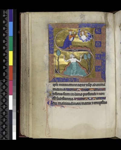 MS 300 f.70v, David Tanrı