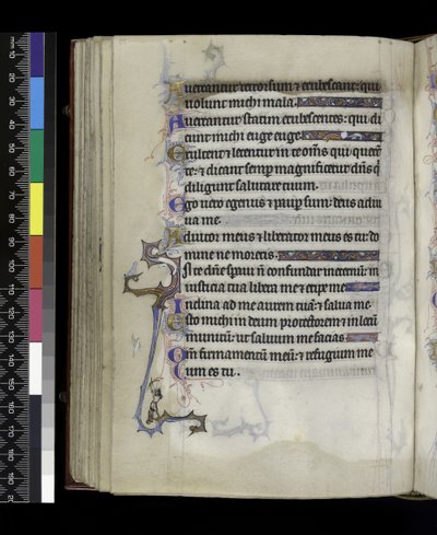 MS 300 f.73v, Psalter and Hours of France of France, Paris, c.1265-70 by French School
