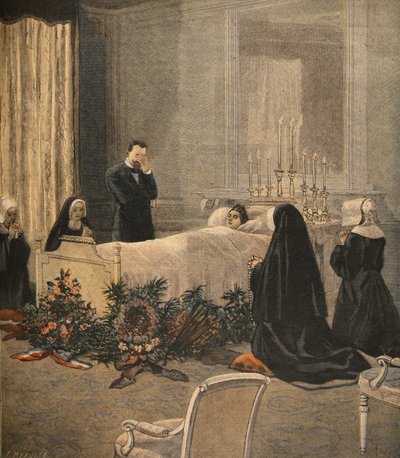 Madam Carnot ölüm döşeğinde, Le Petit Journal