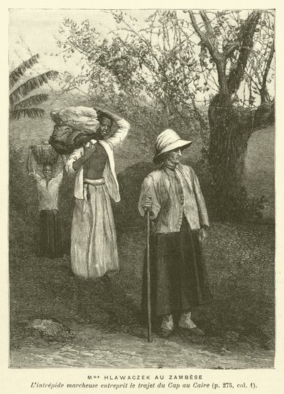 Madam Hlawaczek Au Zambese (gravür) by French School