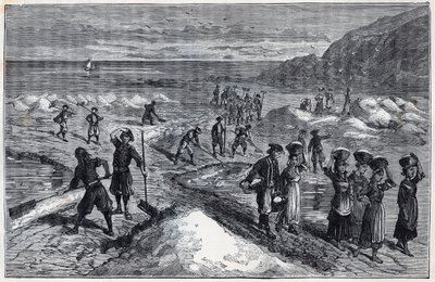 19. yüzyılda Marais salants de Bretagne - Alexis Clerc tarafından “Bağışlara minnettar olan bilimler - fizik ve kimya” içindeki gravür - 19. yüzyılın sonları - Özel koleksiyon by French School