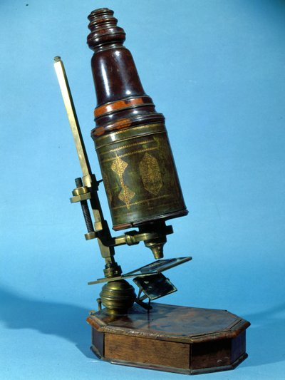 Mikroskop (ahşap ve pirinç) by French School