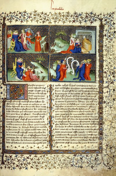 Annelerin Yargısını, Seba Kraliçesinin Gelişini, Süleyman Öğretisini ve Doktorların Tartışmasını gösteren minyatür, c.1410 by French School