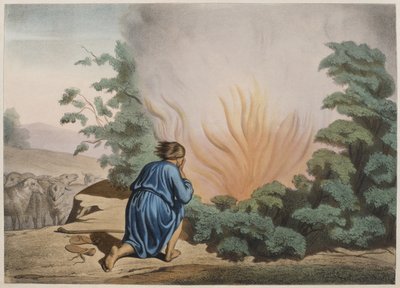 Musa ve Yanan Çalı, bir ilmihal LHistoire Sainte