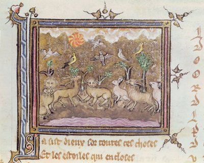 Ms 1044 fol.18 Hayvanların Yaratılışı, Chretien Legouais tarafından yazılan Ovide Moralise