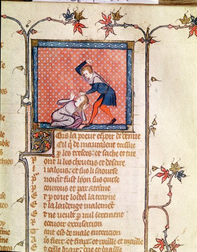 Ms 1126 f.66r The Violence of Kıskançlık, Roman de la Rose