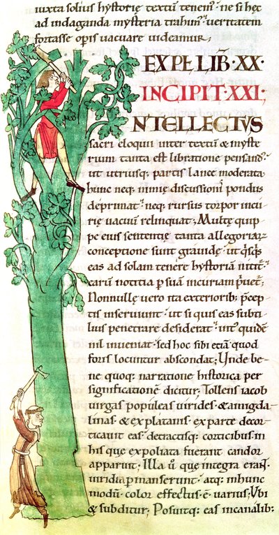 Ms 173 f.41 Moralia