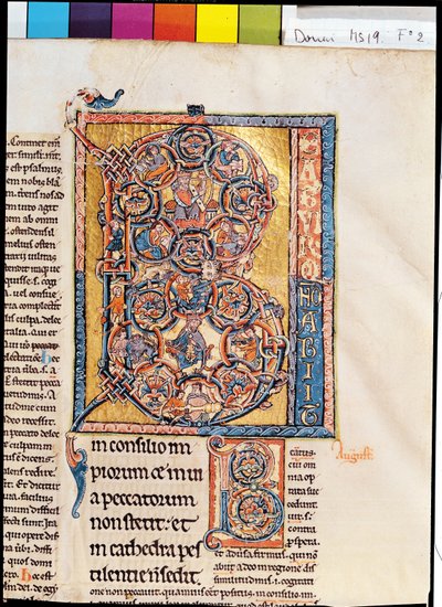 Ms 19 fd2 