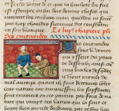 Ms 22532 Hemoroidli bir hastanın muayenesi, Le Livre des Proprietes des selects, Barthelemy l Anglais, c. 1410-15 by French School