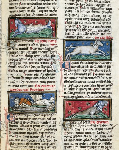 Ms 320 Fol.115r Deniz Canavarları, Thomas van Cantimpre tarafından 