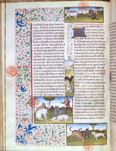 Ms 3717 Av köpekleri, Livre de la Chasse