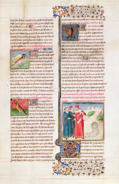 Ms 399 fol. 149 İngiliz Barthelemy