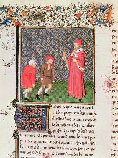 Ms 399 fol.35v Dilenciler, Livre des Proprietes des Choses, Barthelemy l Anglais tarafından by French School