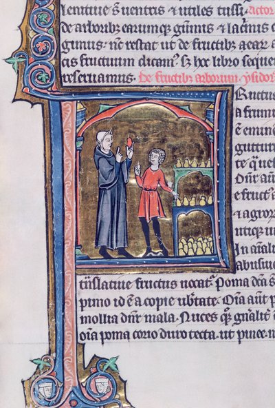 Ms 426 fol.135 Armutları korumanın en iyi yolunu öğretmek, Vincent de Beauvais tarafından yazılan Le Miroir de la Nature by French School