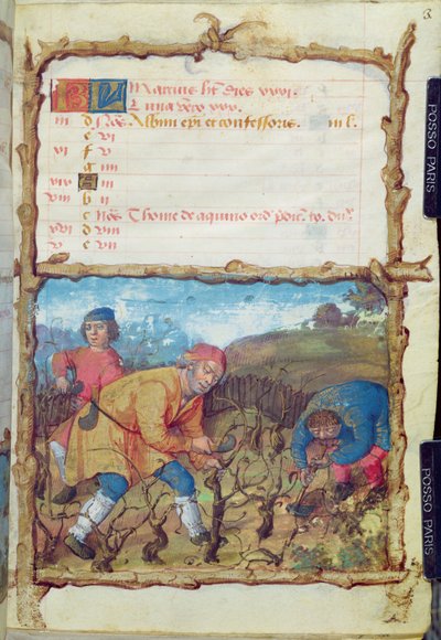 Ms 438 Mart Ayı: Bir Saatler Kitabından Asmaları Budamak, 1490 by French School