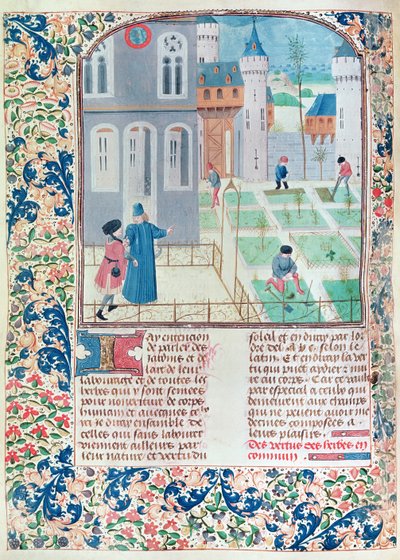 Ms 5064 f.151v Bahçe, Pietro de Crescenzi (1230-132021) tarafından Le Livre des Prouffitz Champestres