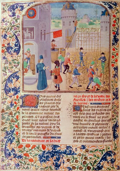 Ms 5064 fol.68v Livre des Prouffitz Champestres