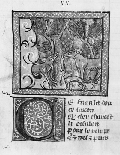 Ms Fr 1580 Tilki, kurt ve köpek, Le Roman de Renart