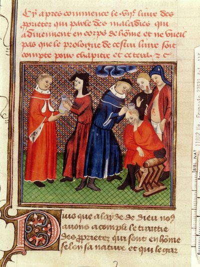 Ms Fr 22531 Fol.115 The İdrar Muayenesi ve Yaraların İyileşmesi, Le Livre des Proprietes des Choses, Barthelemy lAnglais, c.1410-15 by French School