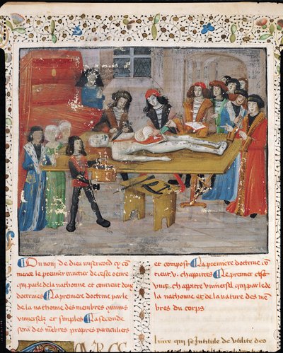 Ms H 184 fol.14v Dissection lesson at the Faculty of Medicine in Montpellier, from 
