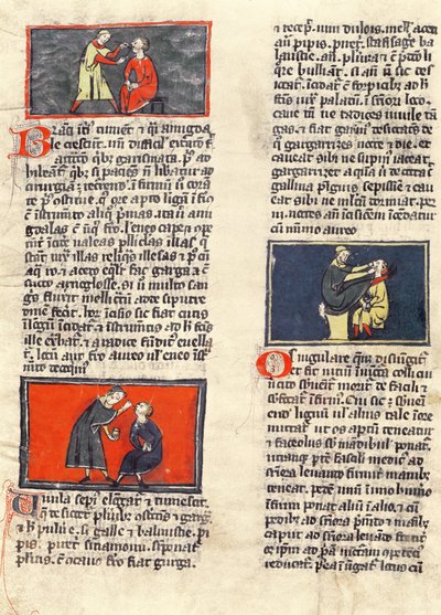 Ms H 89 fol.16v Diş Cerrahisi, Rogier de Salerne