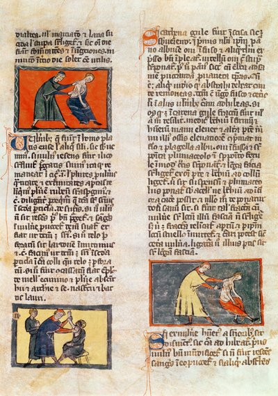 Ms H 89 fol.17r Cerrahi, Rogier de Salerne
