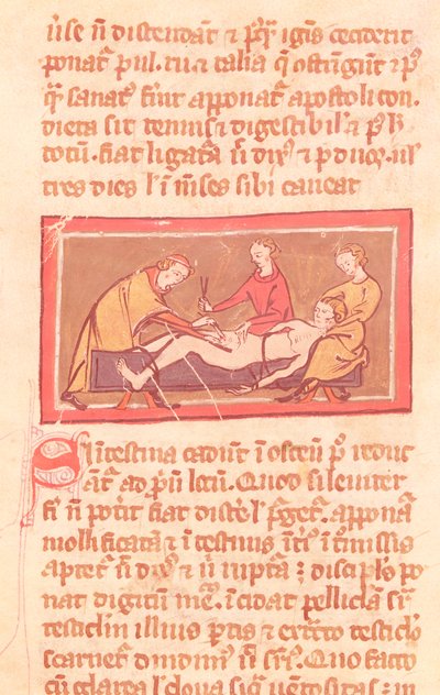 Ms H 89 fol.23 Cerrahi, Rogier de Salerne