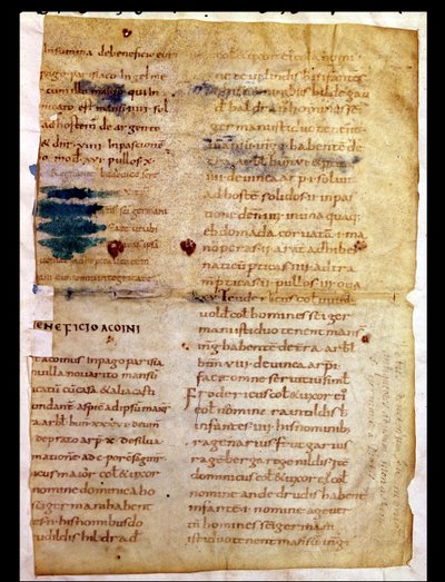 Ms Lat 12832 Fol.A Saint-Germain-des-Pres Başrahip Irminon