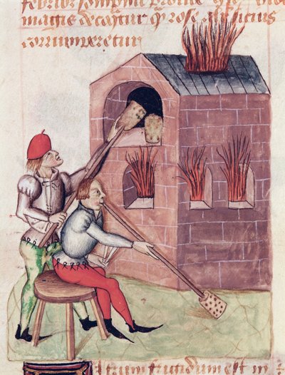 Ms Lat 993 L.9.28 f.138r Cam üfleyiciler, Dioscorides tarafından Tractatus de Herbis