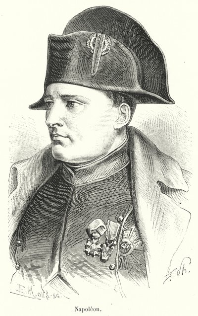 Napolyon by French School