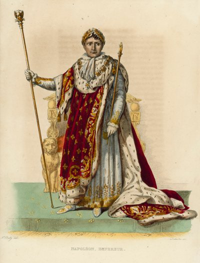 Napolyon Bonapart (renkli gravür) by French School