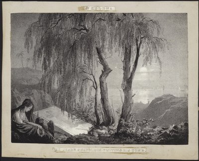 Napolyon Bonapart, St Helena