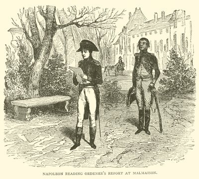 Napolyon, Malmaison