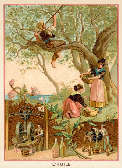 Zeytin yağı by French School