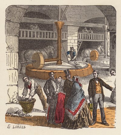 Zeytinyağı üretimi (renkli gravür) by French School