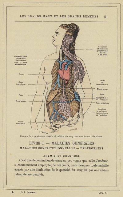 Klorotik bir kadında kan üretim ve dolaşım organları (renkli taş) by French School