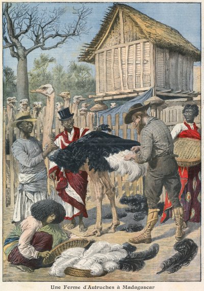 Madagaskar