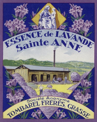 Parfüm Etiketi, Lavanta Özü by French School