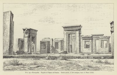 Persepolis, Darius Sarayı