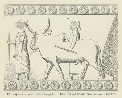Persepolis, Hint kambur öküz by French School