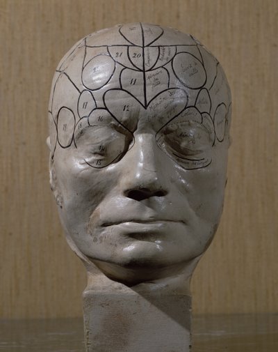 Frenolojik kafa, Jean Martin Charcot (seramik) by French School