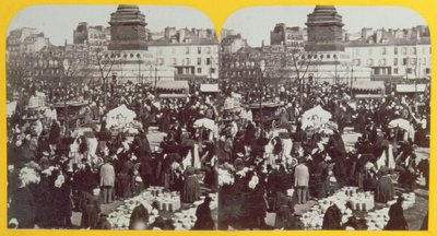 Place de la Bastille, jambon fuarı, Paris, stereoskopik görünüm, 1860 dolayları by French School
